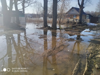 Затопило огород-10.jpg